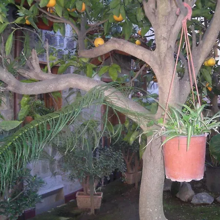 L'arcobaleno Alojamento de Acomodação e Pequeno-almoço Sorrento