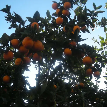 L'arcobaleno Alojamento de Acomodação e Pequeno-almoço Sorrento