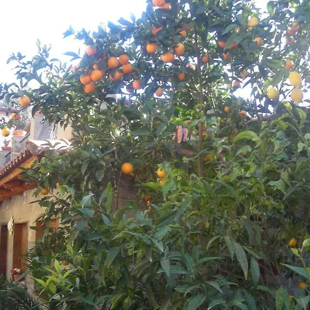 L'arcobaleno Alojamento de Acomodação e Pequeno-almoço Sorrento