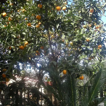 L'arcobaleno Alojamento de Acomodação e Pequeno-almoço Sorrento