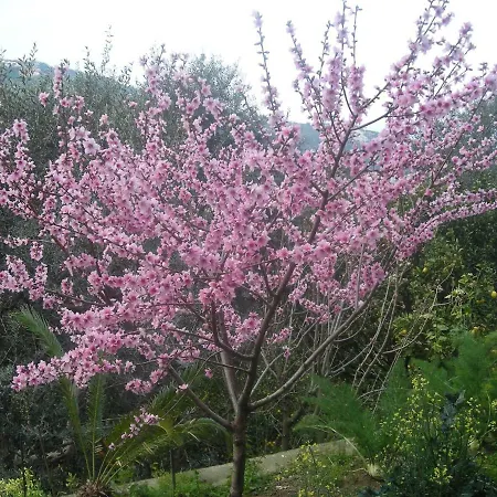 L'arcobaleno Alojamento de Acomodação e Pequeno-almoço Sorrento