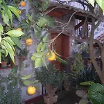 לינה וארוחת בוקר L'arcobaleno