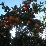 L'arcobaleno לינה וארוחת בוקר סורנטו