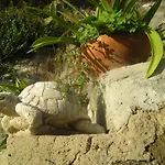 Bed and Breakfast L'arcobaleno