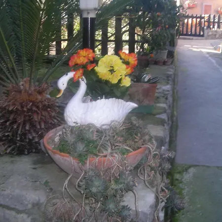 Oda ve Kahvaltı L'arcobaleno 4*