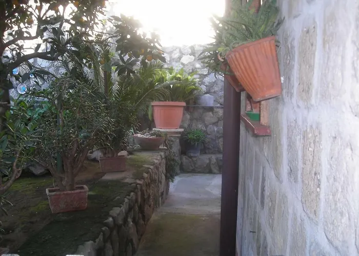 B&B 라르코발레노