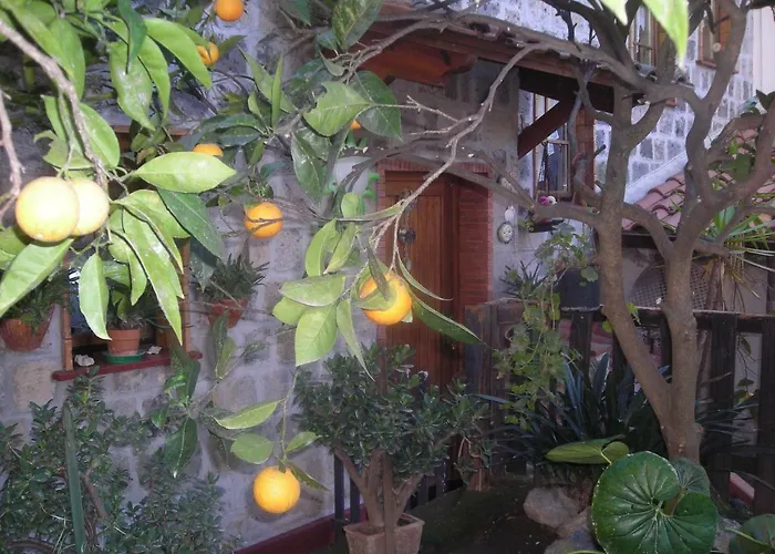 B&B 라르코발레노