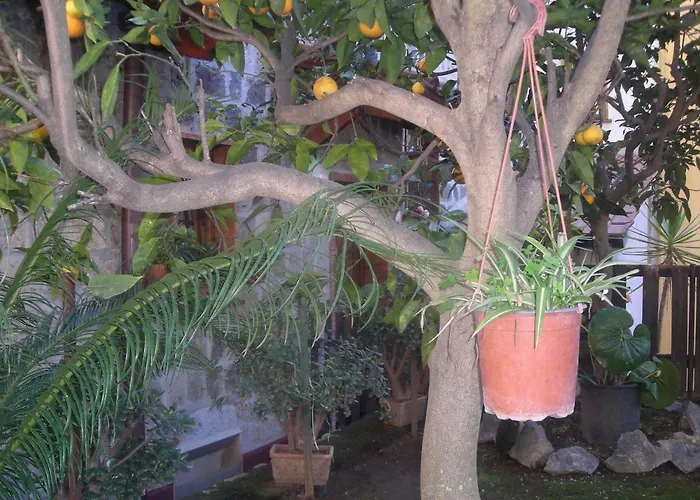 L'arcobaleno Bed and Breakfast Σορέντο