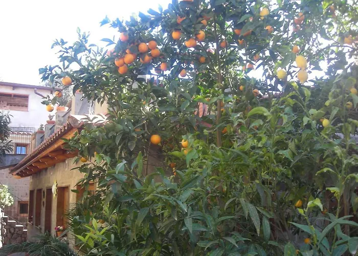 라르코발레노 B&B 소렌토