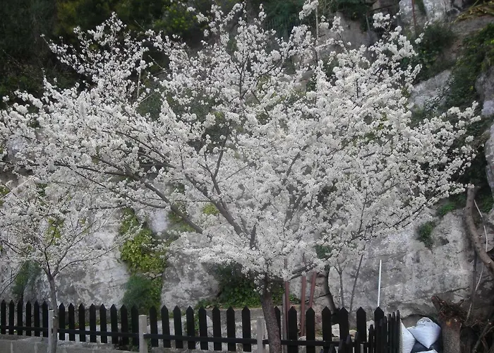 L'arcobaleno Bed and Breakfast 4*