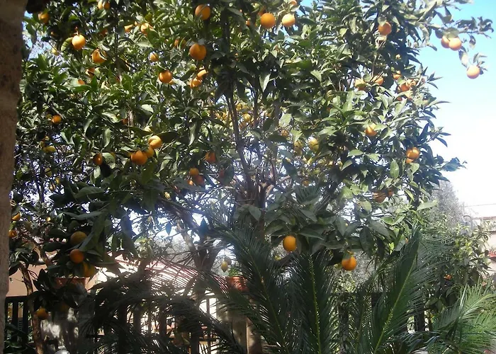 L'arcobaleno Bed and Breakfast Σορέντο