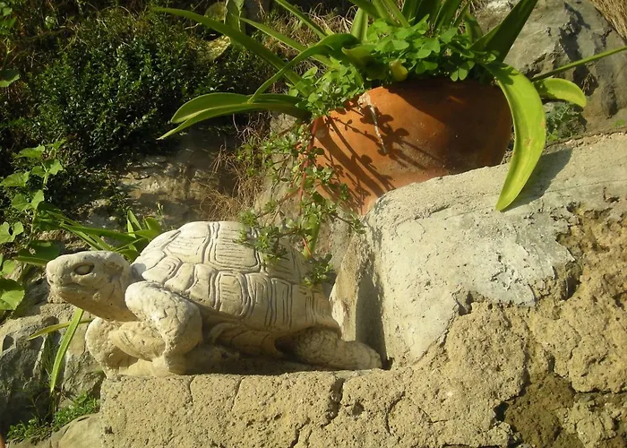 Bed and Breakfast L'arcobaleno