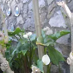 Bed & Breakfast L'arcobaleno 4*