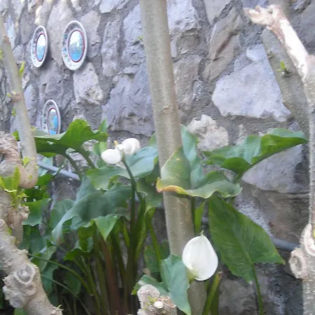 ベッド・アンド・ブレックファスト L'arcobaleno 4*