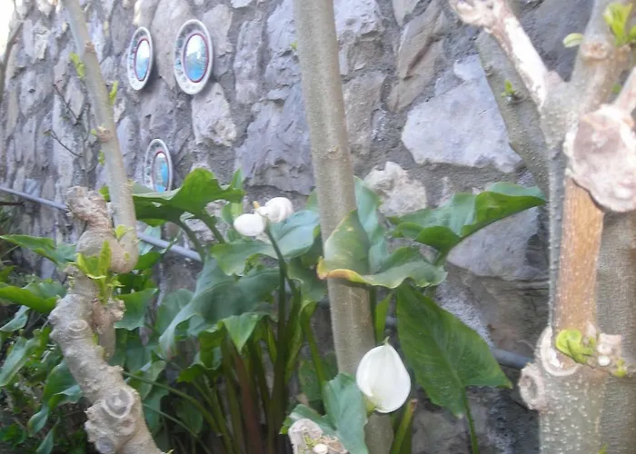 Couette-café L'arcobaleno 4*